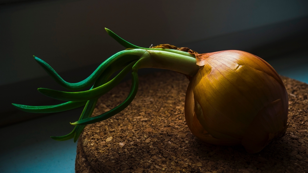 Jak zrobić syrop z cebuli ?