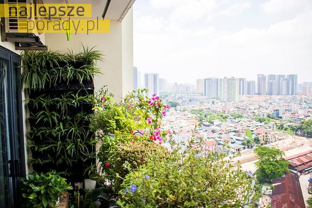 Zielony zakątek w mieście, czyli jak stworzyć mały ogród na balkonie?