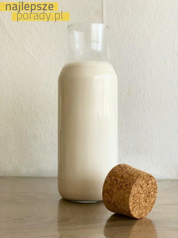 Jak przygotować domowe mleko roślinne?