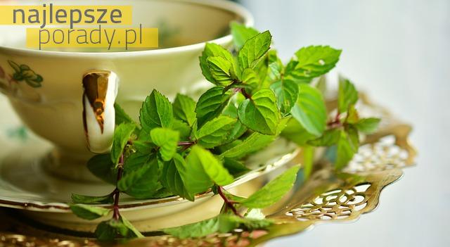 Jak zrobić herbatę ziołową?