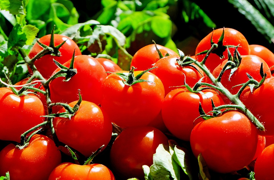 Co zrobić z pomidorów?