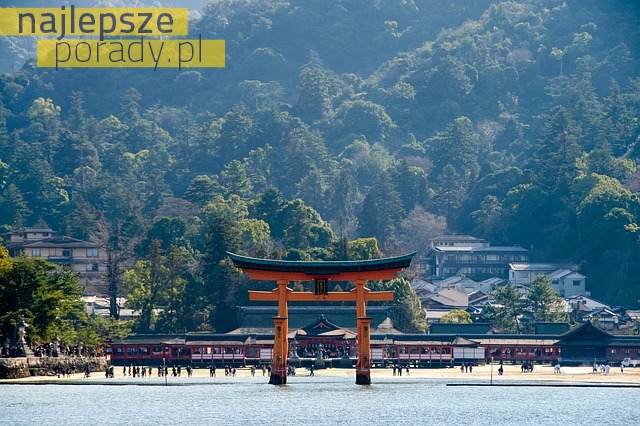 5 miejsc wartych odwiedzenia w czasie pobytu w Japonii
