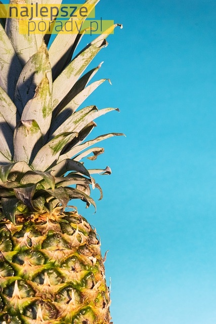 Jak w prosty sposób zasadzić ananasa?