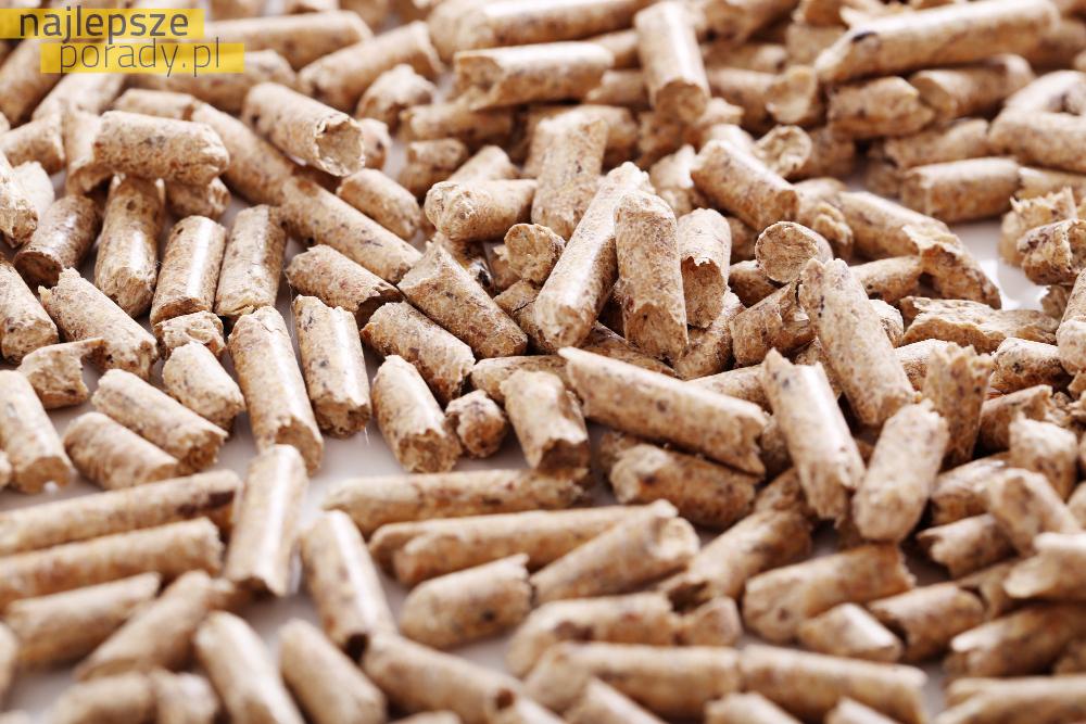 Porównanie pelletu sosnowego z innymi rodzajami biomasowych paliw