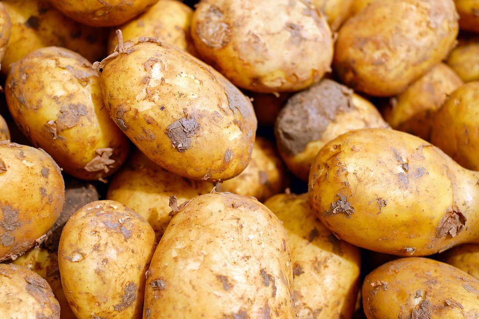 Z jakiego rejonu świata pochodzi ziemniak?